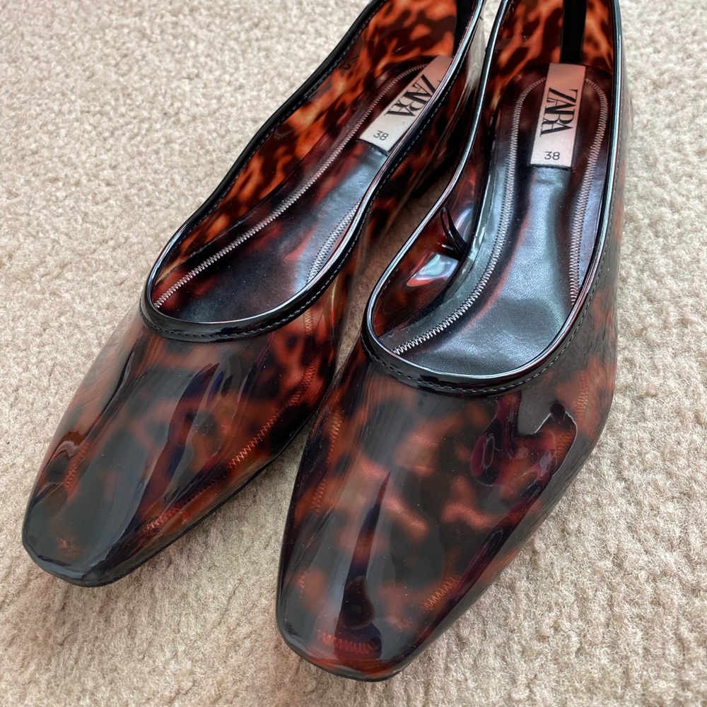 Zara Ballerina Flats